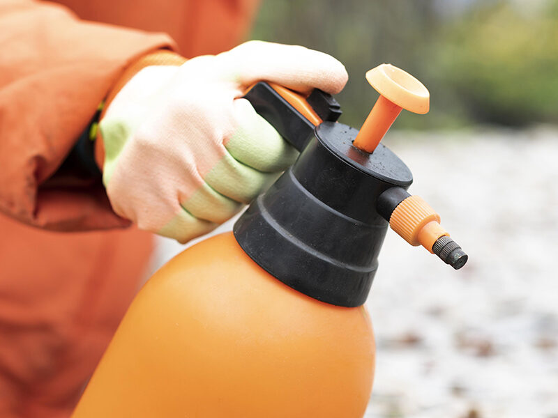 Insecticides, raticides