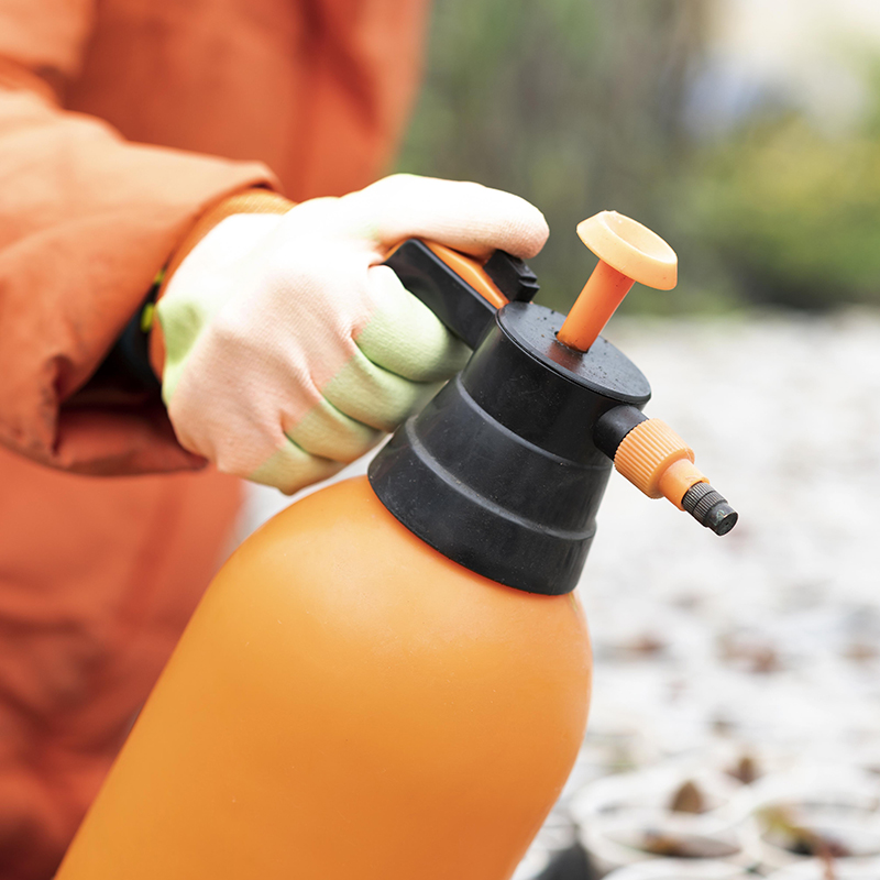 Insecticides, raticides
